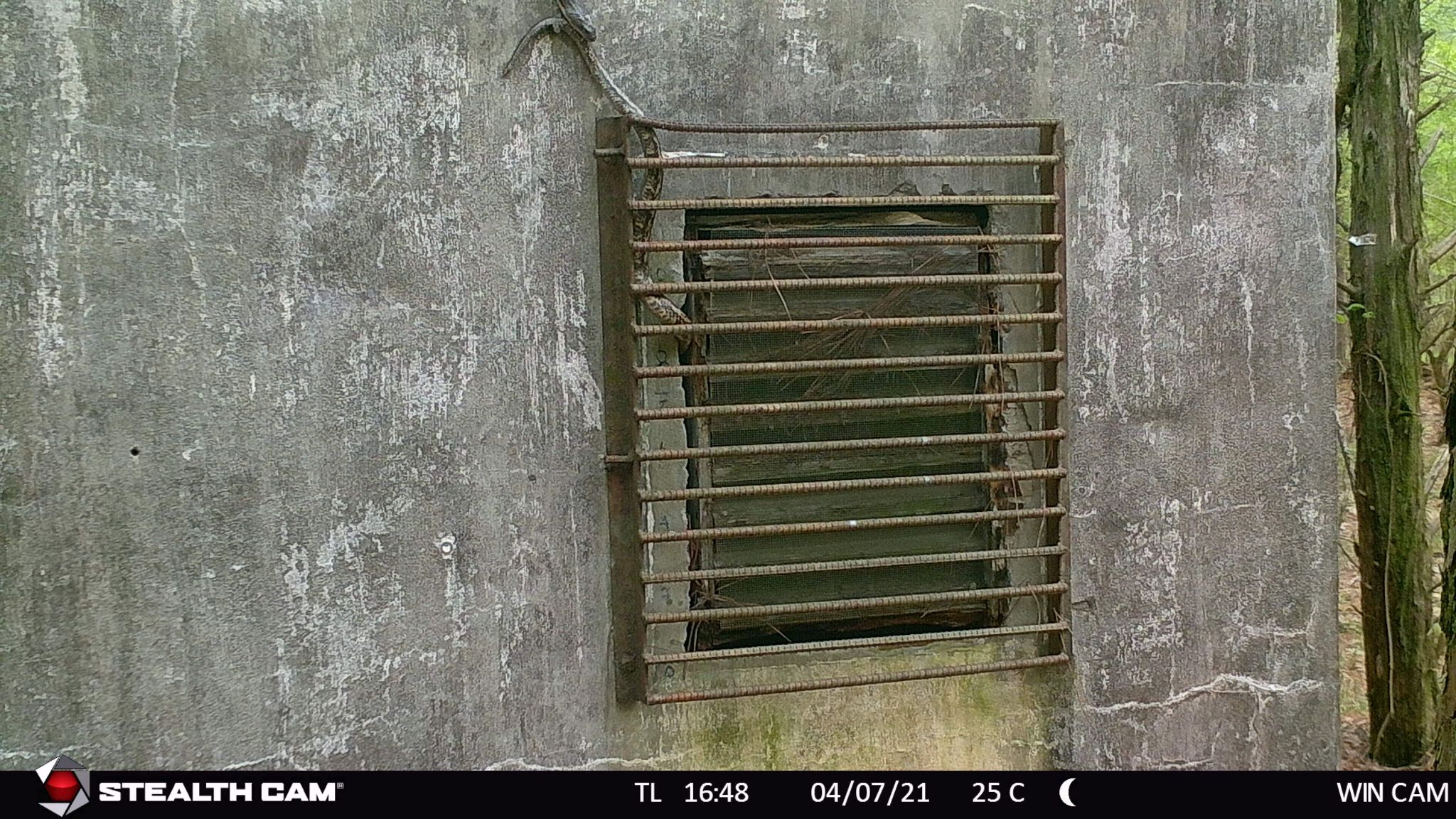 13 following close from roof to window